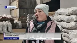 Берекелі алқап, заманауи тәсіл: Тайыншада көкөніс өсіру ісі өріс алуда