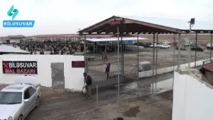 Biləsuvarın heyvan bazarındakı problem öz həllini tapdı