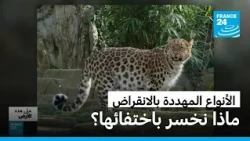 الأنواع المهددة بالانقراض.. سباق مع الزمن • فرانس 24
