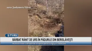 BĂRBAT RĂNIT DE URS ÎN PĂDURILE DIN BERISLĂVEȘTI