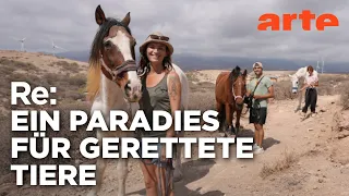 Tierretter auf Teneriffa | ARTE Re: