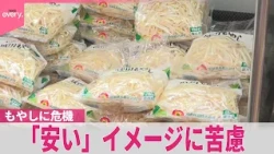 【もやしに危機】「安くて当たり前｣イメージに苦慮  生産者は“約3分の1”に