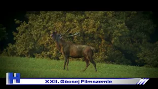 XXII  Göcsej Filmszemle - ZTV Híradó 2026. augusztus 28.