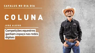 "Horses in Daily Life": equestrian competitions gain ground on social media