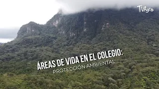 Life Areas in El Colegio: Environmental Protection - TvAgro by Juan Gonzalo Angel