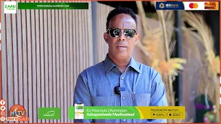 "Waxaanu ugu baaqayna Madaxweynaha in uu Balan qaadkiisa ka dhabeeyo"Xildhibaan Raambo