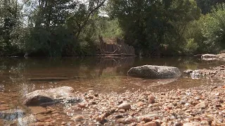 €315,000 Project: Pregarten River Defies Extreme Weather