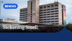 Odours of decomposing bodies making NT hospital staff feel 'physically sick', union says | ABC NEWS