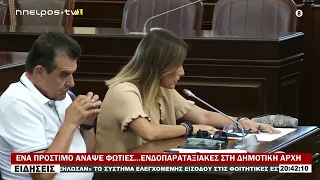 ΕΝΑ ΠΡΟΣΤΙΜΟ ΑΝΑΨΕ ΦΩΤΙΕΣ…ΕΝΔΟΠΑΡΑΤΑΞΙΑΚΕΣ ΣΤΗ ΔΗΜΟΤΙΚΗ ΑΡΧΗ
