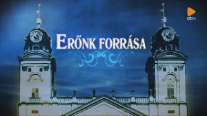 Új szolgáltatásként digitális oktatást nyújt rászorulóknak a Dorkász Szolgálat