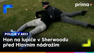 Okradený cizinec před Hlavním nádražím | Policie v akci