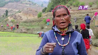संकटमा असारे लोकभाका, जरुरी छ पुनःजीवनको पहल | AP REPORT | AP1HD