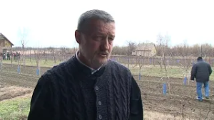 Sveti Trifun u Crepaji: Udruženje „Stari vinogradi“ obeležilo svoju slavu