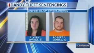Towanda couple sentenced after theft of over $20K from Dandy