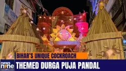 Bihar’s Katihar Gets A Unique Cockroach-Themed Durga Puja Pandal | News9