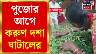 Ghatal News | গবাদি পশুদের খাবারে টান, নৌকা করে দূর পথে ঘাস-পাতা সংগ্রহে ঘাটালবাসী | Bangla News
