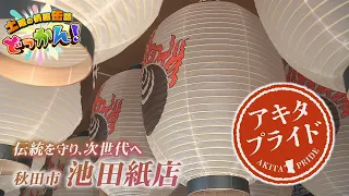 秋田市大町の池田紙店を訪れ、秋田竿燈まつりの提灯を作る職人の思いに迫る✨「土曜の情報缶詰どっかん！」◆アキタプライド◆2026年7月4日放送