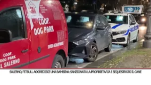 SRV SALERNO, PITBULL AGGREDISCE UNA BAMBINA