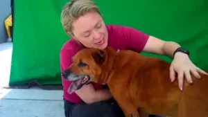 Perros cap 89 bloque 1