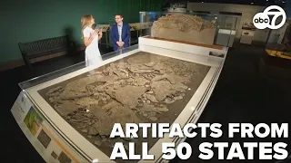 Experience America's natural wonders in new Smithsonian exhibit