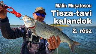 Mălin Mușatescu – Tisza-tavi kalandok 2. részz