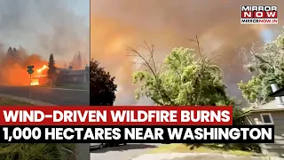Firestorm Near Washington: Powerful Winds Push Massive Wildfire Out Of Control, 1000 Hectares Gone