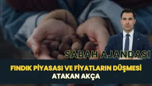 FINDIK PİYASASI VE FİYATLARIN DÜŞMESİ I SABAH AJANDASI - ATAKAN AKÇA