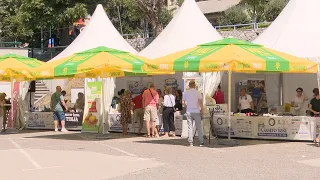 Zatvaranje Sajma šljive u Gradačcu