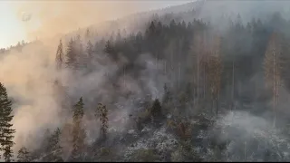 Požar na Grmeču zahvatio šumsko područje kod Bosanskog Petrovca