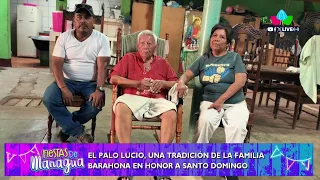 🇳🇮 The Palo Lucio: The History and Tradition of the Barahona Family | Saint Dominic of Guzmán