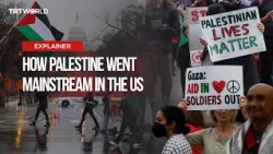 How Palestine became a major factor in US politics