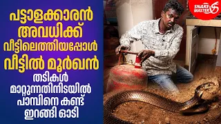 ഗ്യാസ് കുറ്റിക്ക് അടിയിൽ മൂർഖൻ, കോഴികൾക്ക് പേടിയില്ലാത്ത പാമ്പ് | Cobra Rescue | Snakemaster EP 1211