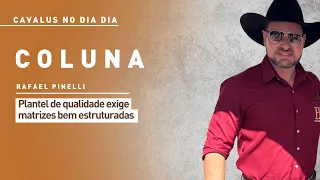Rafael Pinelli, Quarter Horse breeder in Bauru, in the interior of São Paulo