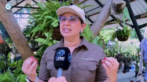 El Parque Ecológico Reciclarte – PER, un escenario donde los residuos se convierten en oportunidades