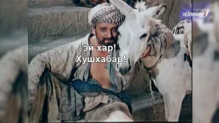 мустанади Хоча Насриддин Афанди
