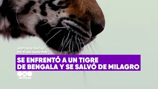 He FACED a BENGAL TIGER and SURVIVED by a miracle - Unique stories on #TelefeNoticias