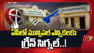 ఏపీలో మున్సిపల్ ఎన్నికలకు గ్రీన్ సిగ్నల్..! | YSRCP షాకింగ్ డిమాండ్ | NTV Telugu
