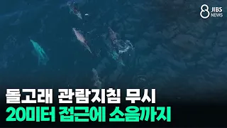 Dolphin watching guidelines ignored... Boats closing within 20 meters and causing noise/JIBS/Jeju...