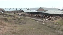 Labor productivity in the agricultural sector has increased 2.5 times