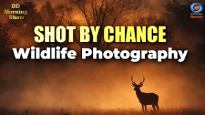DD Morning Show | Shot By Chance | Wildlife Photography | DD National