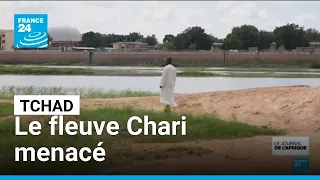 Tchad : l’extraction de sable menace le fleuve Chari • FRANCE 24