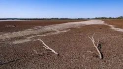 Hungary's 2026 drought is the country's most severe in 126 years, data shows