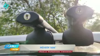Zaqatalada qəhvəyi mərmər bağacığı yayılıb | Müxbir "Sən"