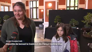 La Cazinoul din Parcul Central, natura își spune povestea în miniatură.