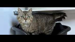 07/16/2026 HB Animal of the Month
