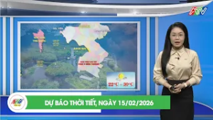 DỰ BÁO THỜI TIẾT, NGÀY 15/02/2026