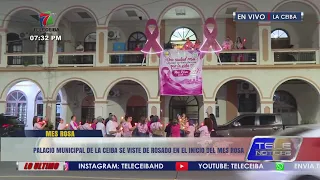 La Ceiba Municipal Palace dresses in pink for the start of Breast Cancer Awareness Month 🎀