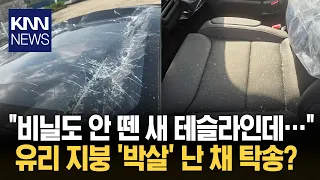 "Brand new car, but the glass roof is shattered": Tesla owner's nightmare upon delivery / KNN