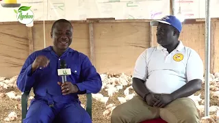 AYEKOO: I QUIT MY JOB IN CANADA TO VENTURE INTO POULTRY FARMING IN GHANA – AKOKO AMENFI