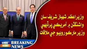Wazir-e-Azam Shehbaz Sharif saan Washington mein American Wazeer-e-Kharija Marco Rubio ji mulaqat